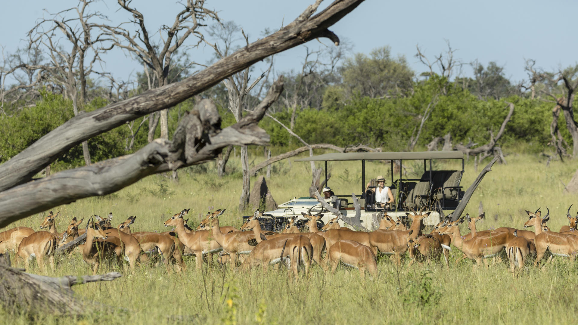 Khwai Community Area - Khwai Guest House