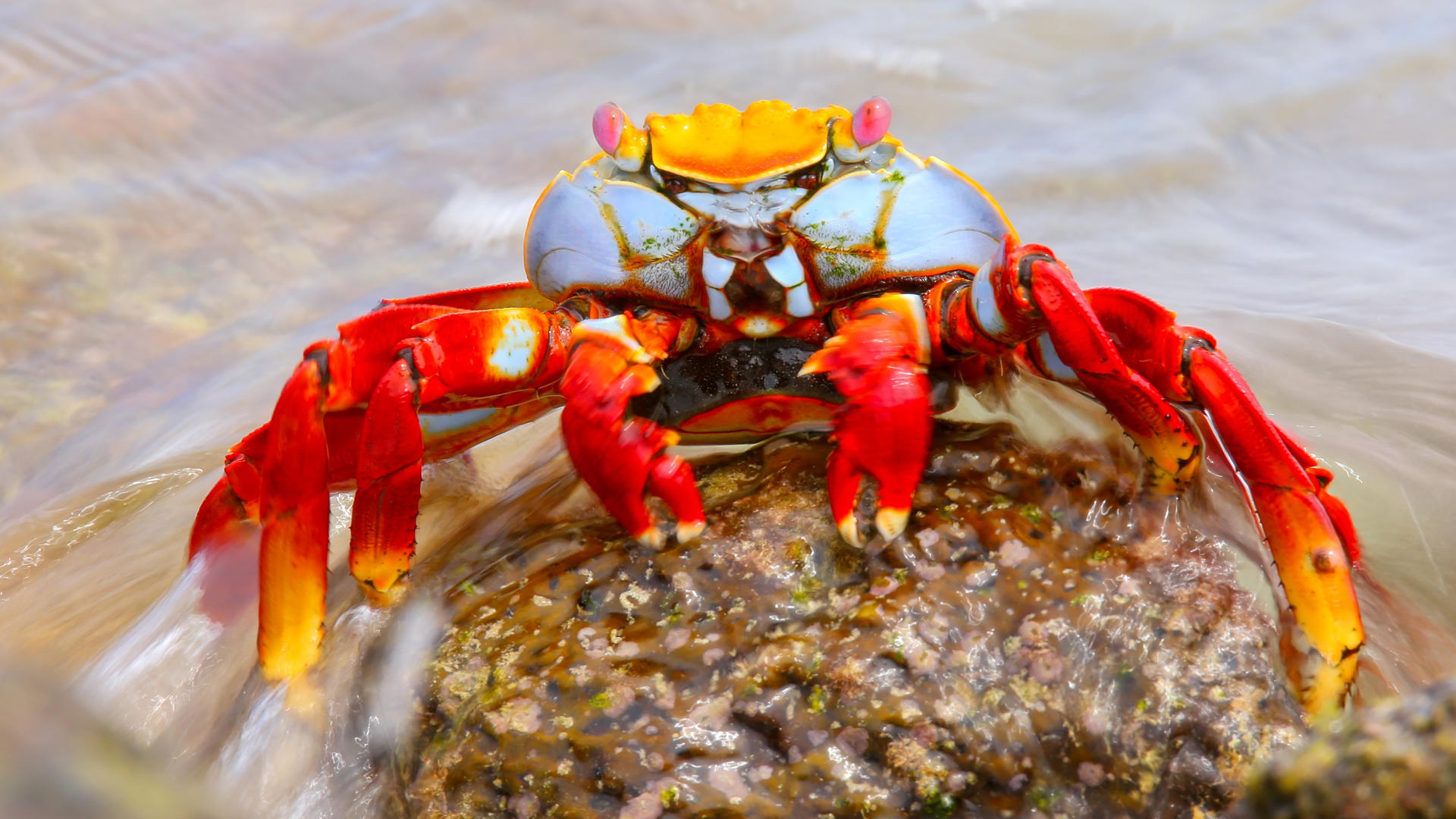 Bucket List Galapagos