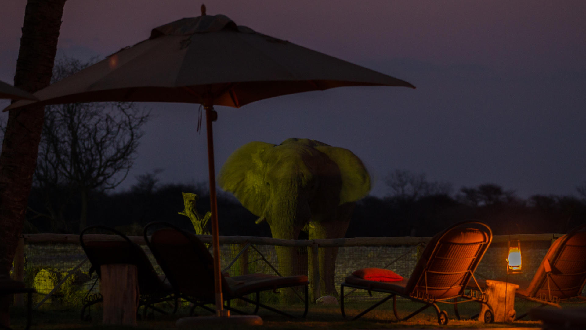 Onguma Nature Reserve - Onguma Bush Camp