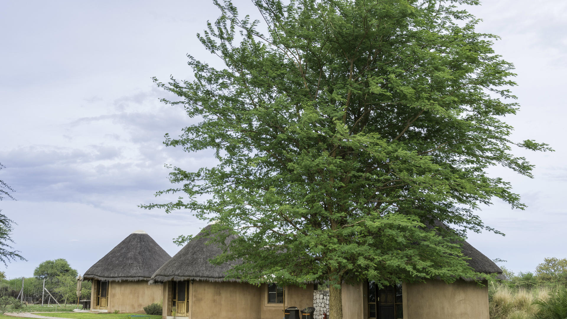 Onguma Nature Reserve - Onguma Bush Camp