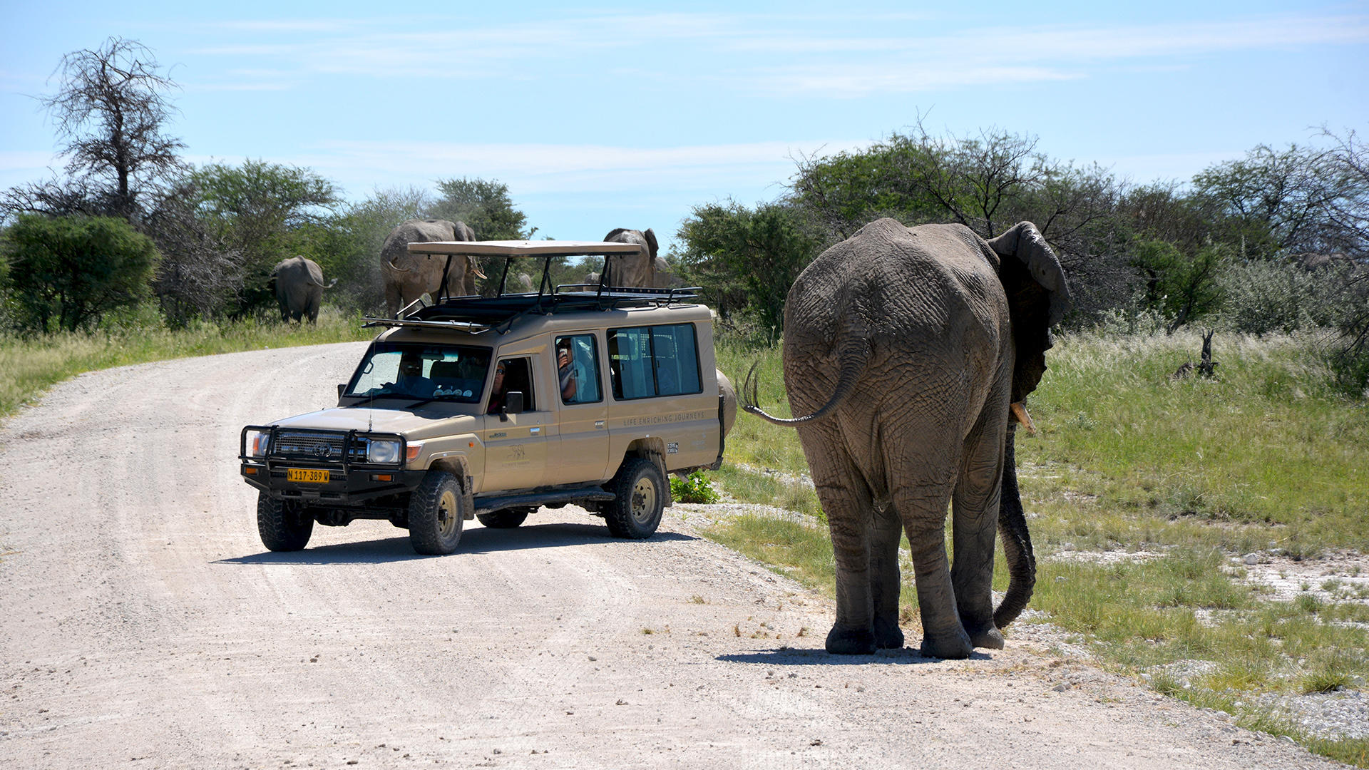 Namibia: Self Drive Safari