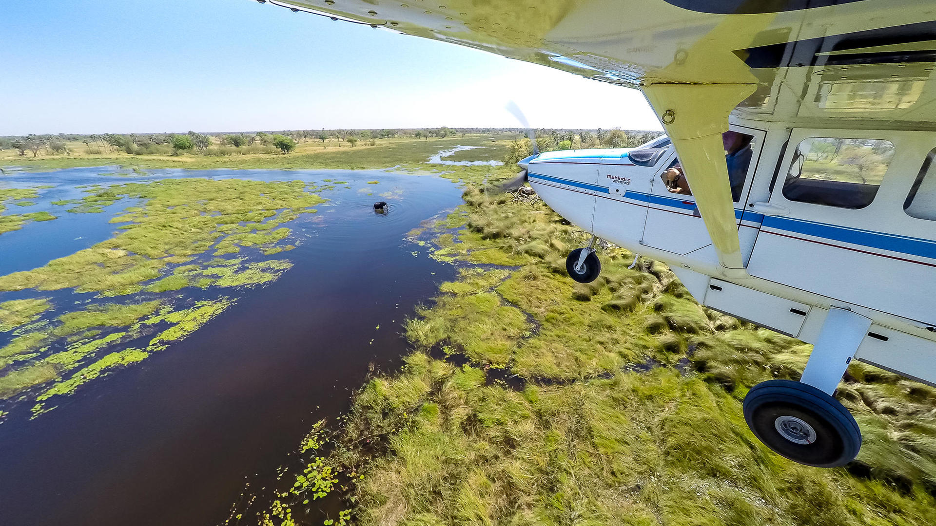 FLY-IN & WALKING SAFARI 2024 - 10 Days Okavango Delta, Chobe ...