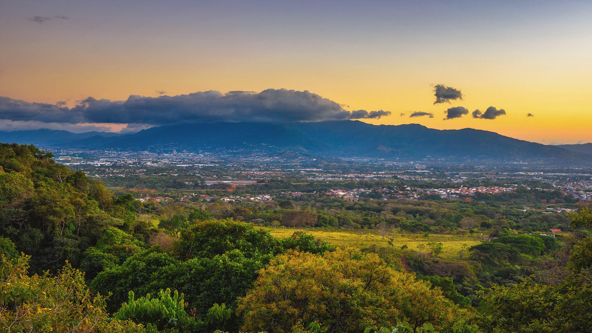 Rainforests in Costa Rica