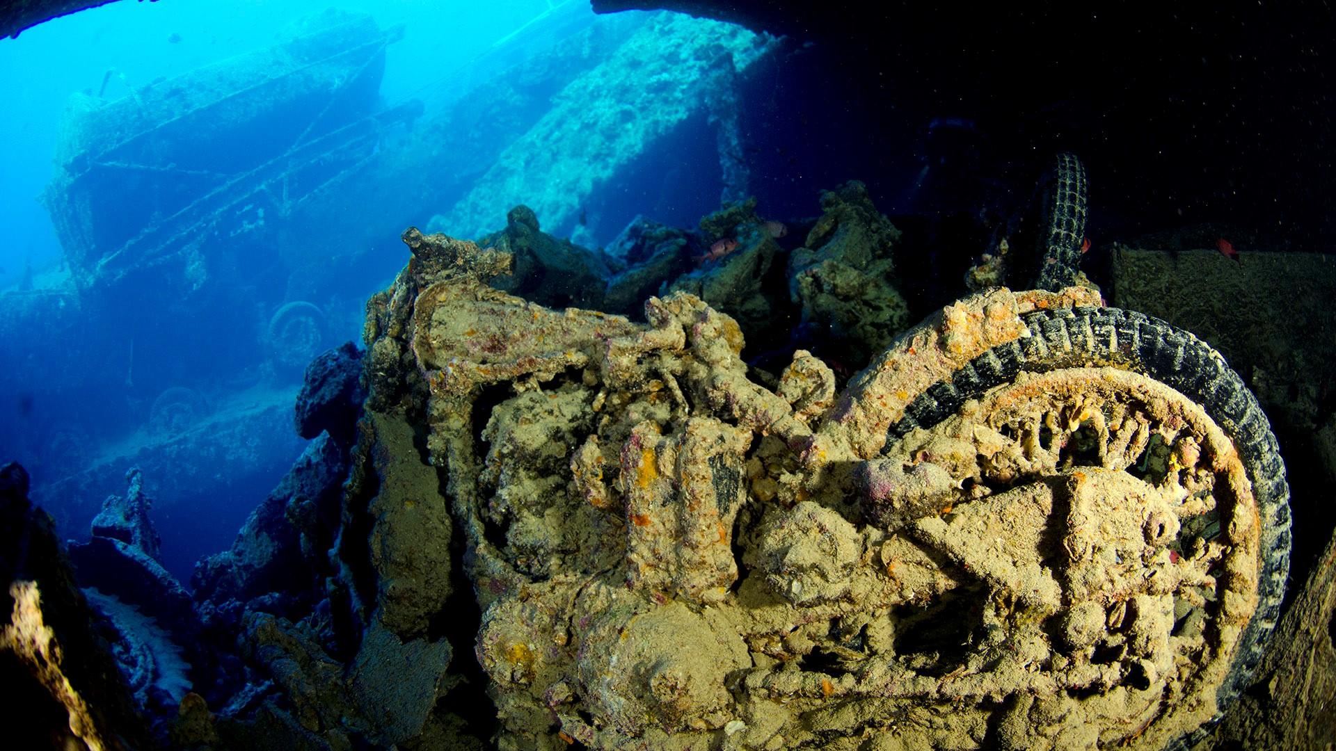 Red Sea Aggressor II | Northern Red Sea, Ras Mohamed, Straits of Tiran