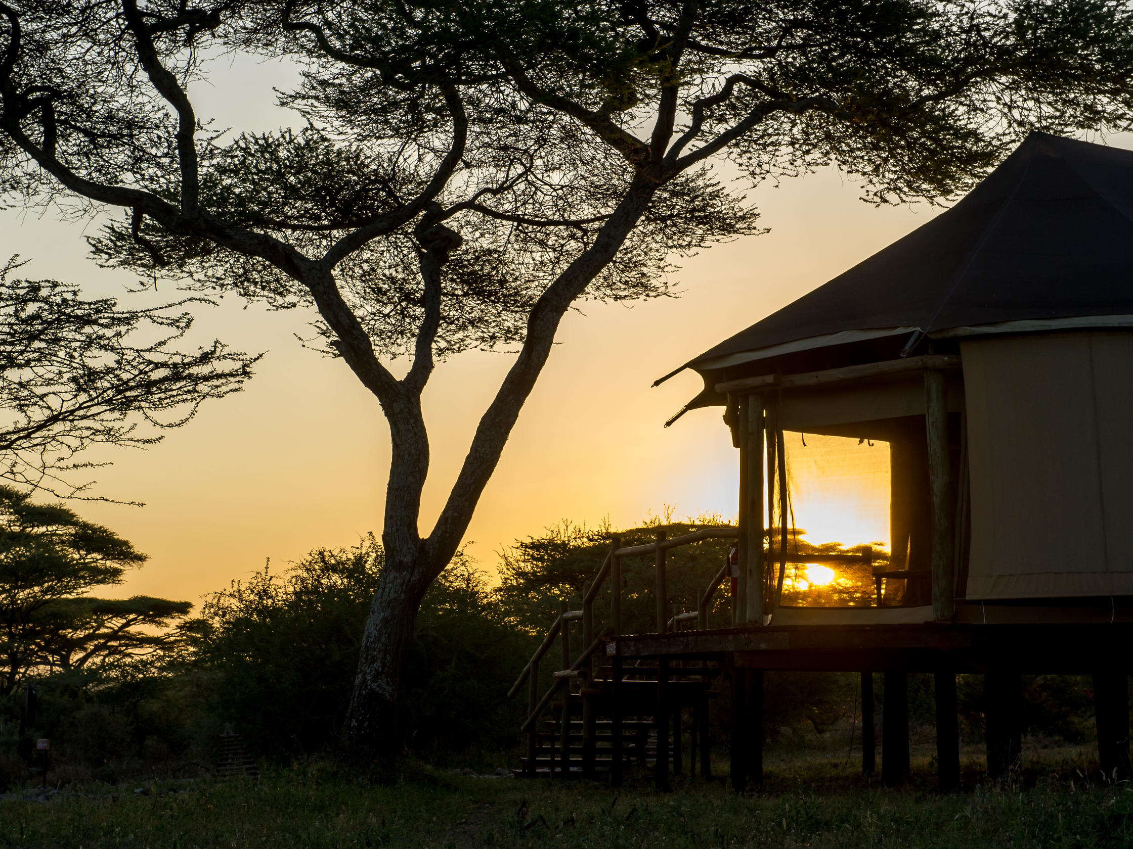 Tansania | Lake Masek Tented Lodge – Ndutu | DIAMIR Erlebnisreisen