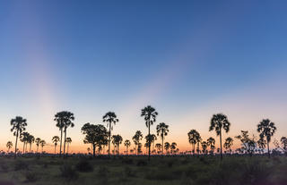 Xigera Camp