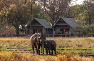 Wilderness Chitabe Lediba