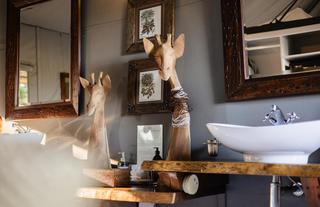 Wilderness Chitabe Lediba