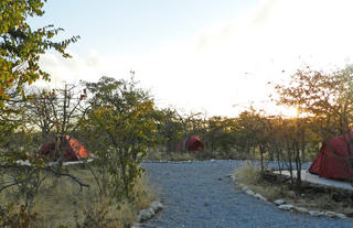 Etosha Village Group Campsite