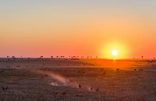 Sunset in the Makgadikgadi