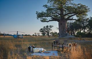 Picnic by a Baobab tree