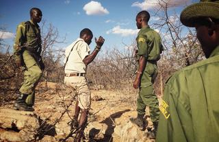Rhino Tracking