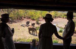 Waterhole