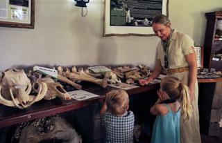Discovery Room