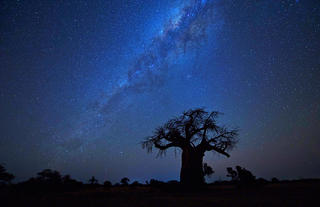 Nightsky