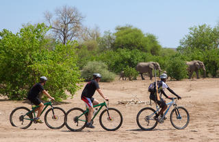 Mashatu Cycling Safari