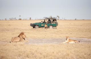  Camp Activity - Game Drive 