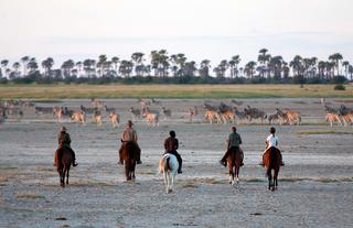  Camp Activity - Horseback Safari