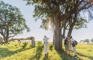 Walking Safari