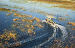 Motorboat Safari 