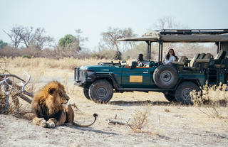 Game Drive