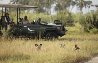 andBeyond Nxabega Okavango Tented Camp