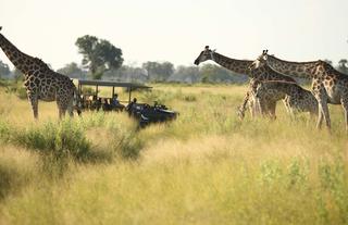 andBeyond Nxabega Okavango Tented Camp