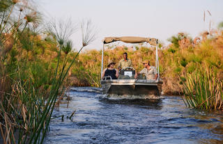 Motorboat Safaris