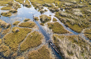 Mokoro in the Okavango Delta 