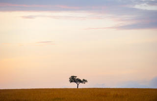 North Serengeti landscape
