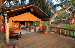 Meru-style tent Gunn's Camp