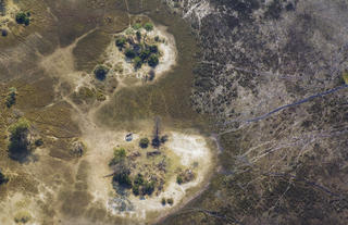Heart of the Okavango Delta
