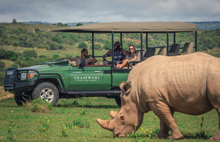 Shamwari Private Game Reserve