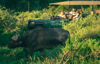 Shamwari Private Game Reserve