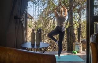 Jock Safari Lodge | Main Jock