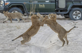 Jock Safari Lodge