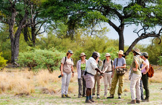 Kazile Island Lodge Guided Bush Walks