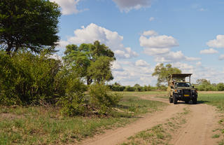 Kazile Island Lodge Game Drive