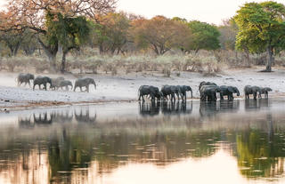 Kazile Island Lodge - Game Viewing