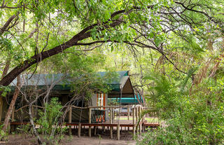Ndhovu Safari Lodge - Safari Tent