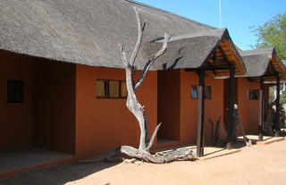 Hobatere Lodge - Accommodation 