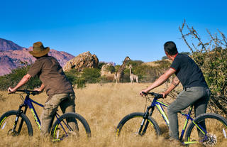 Mountain-Biking-Hohenstein-Lodge