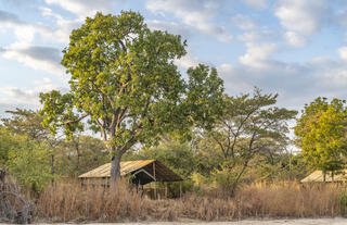 Nkonzi Camp Safari tent