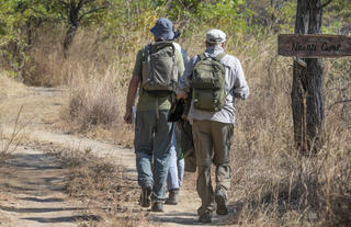 Walking Safari