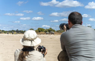 Nkonzi Camp - elephant viewing 