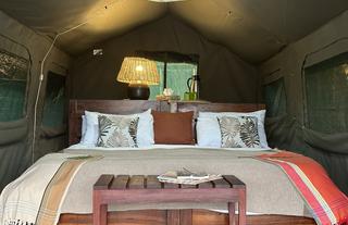 Safari Tent