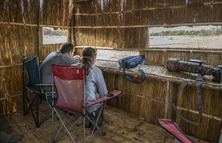 Mushilashi Spring Hide 