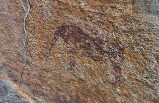 Rock paintings