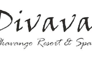 Divava Logo