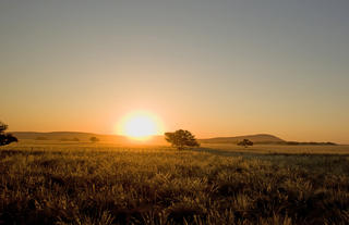 Sundowner Nature Drive Excursion